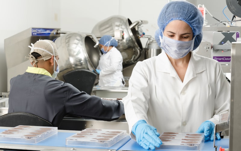 Pharmaceutical manufacturing — workers in cleanroom preparing medicine packaging